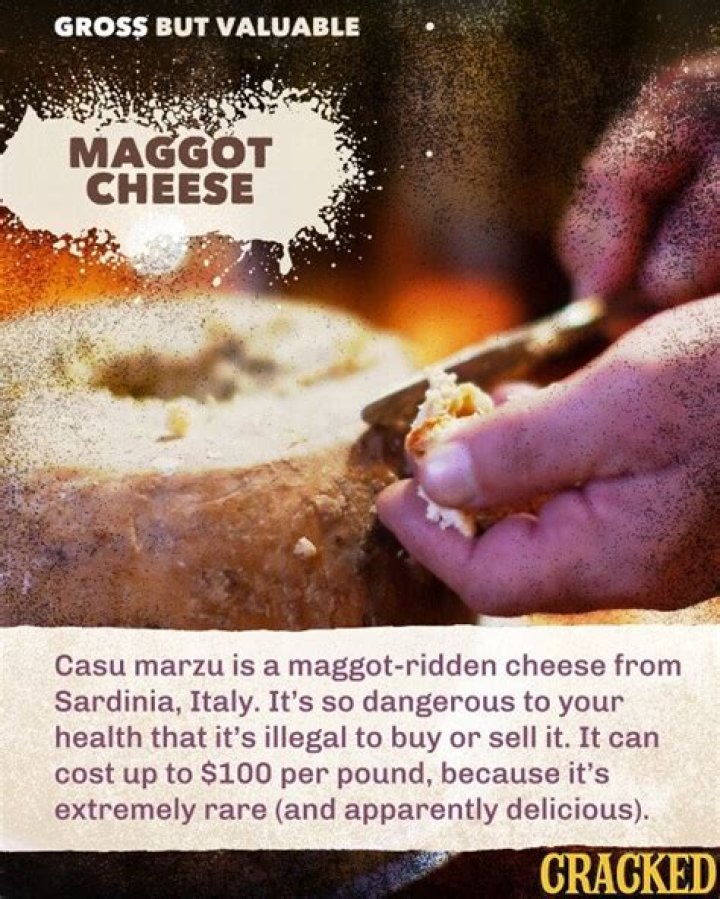 Why is casu marzu cheese illegal?