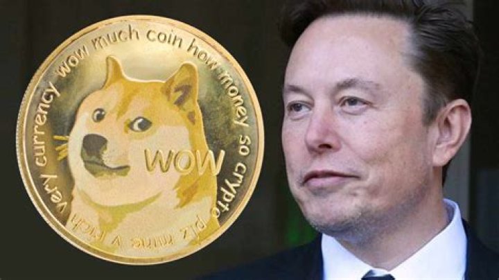 Why is Elon Musk backing Dogecoin?
