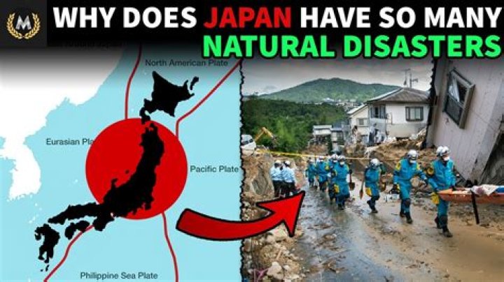 Why is Japan so thin?