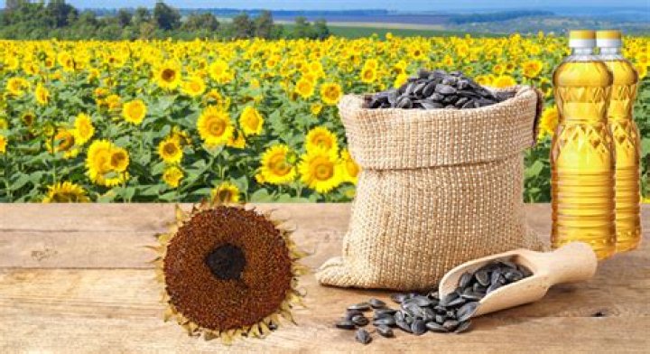 Why is sunflower oil so expensive now?