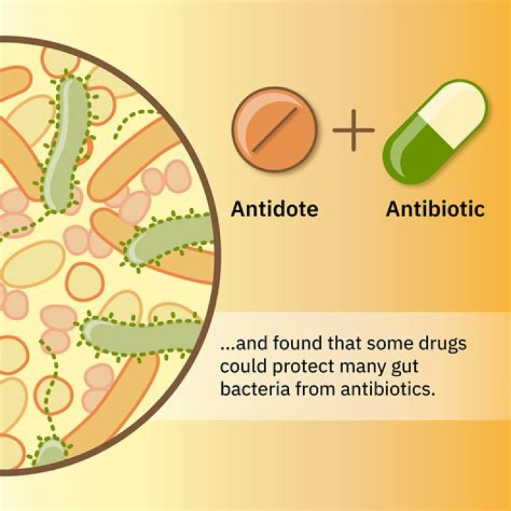 Why would an antibiotic not work?