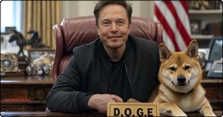 Will DOGE go up in 2022?
