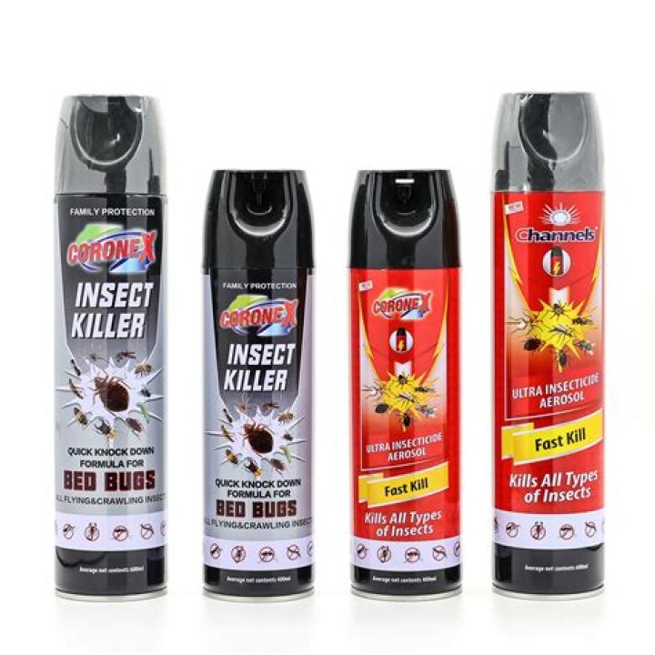 Will insect spray kill birds?