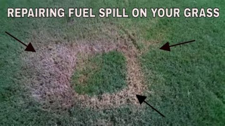 Will spilled gasoline kill grass?
